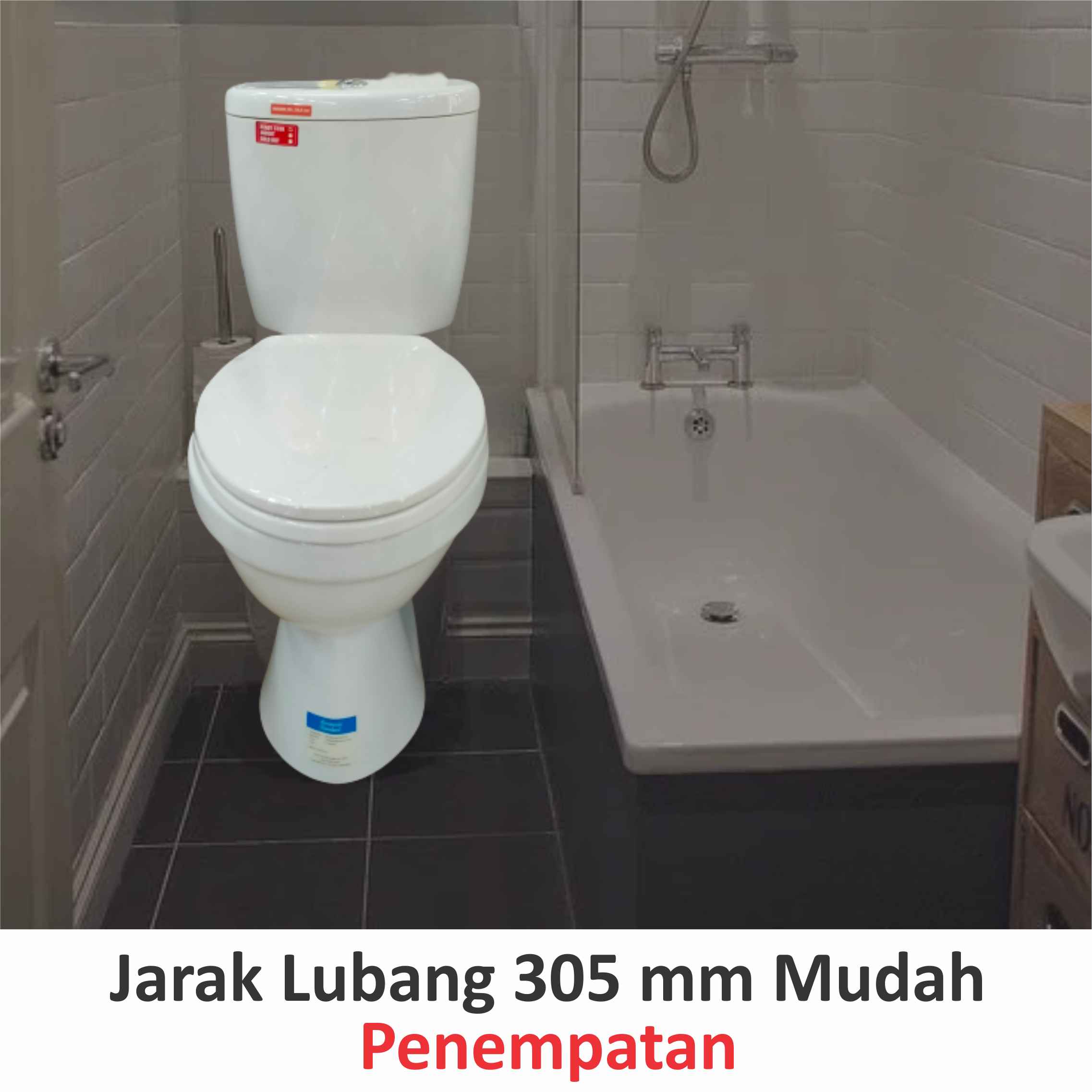 Closet Duduk AMERICAN STANDARD CCW05100-1CACTP13B My Winston CCST DF Plus Jet Washer TP404
