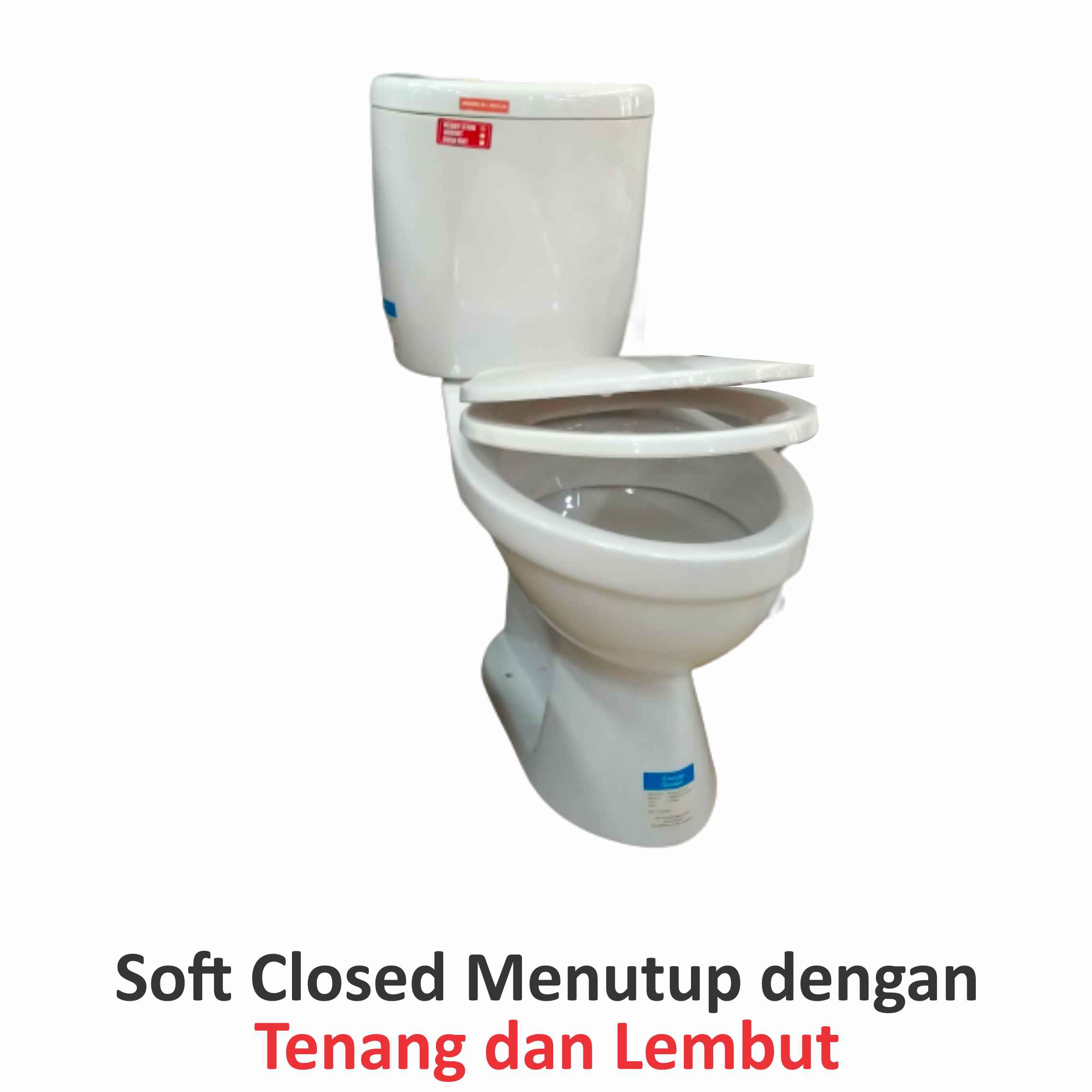 Closet Duduk AMERICAN STANDARD CCW05100-1CACTP13B My Winston CCST DF Plus Jet Washer TP404