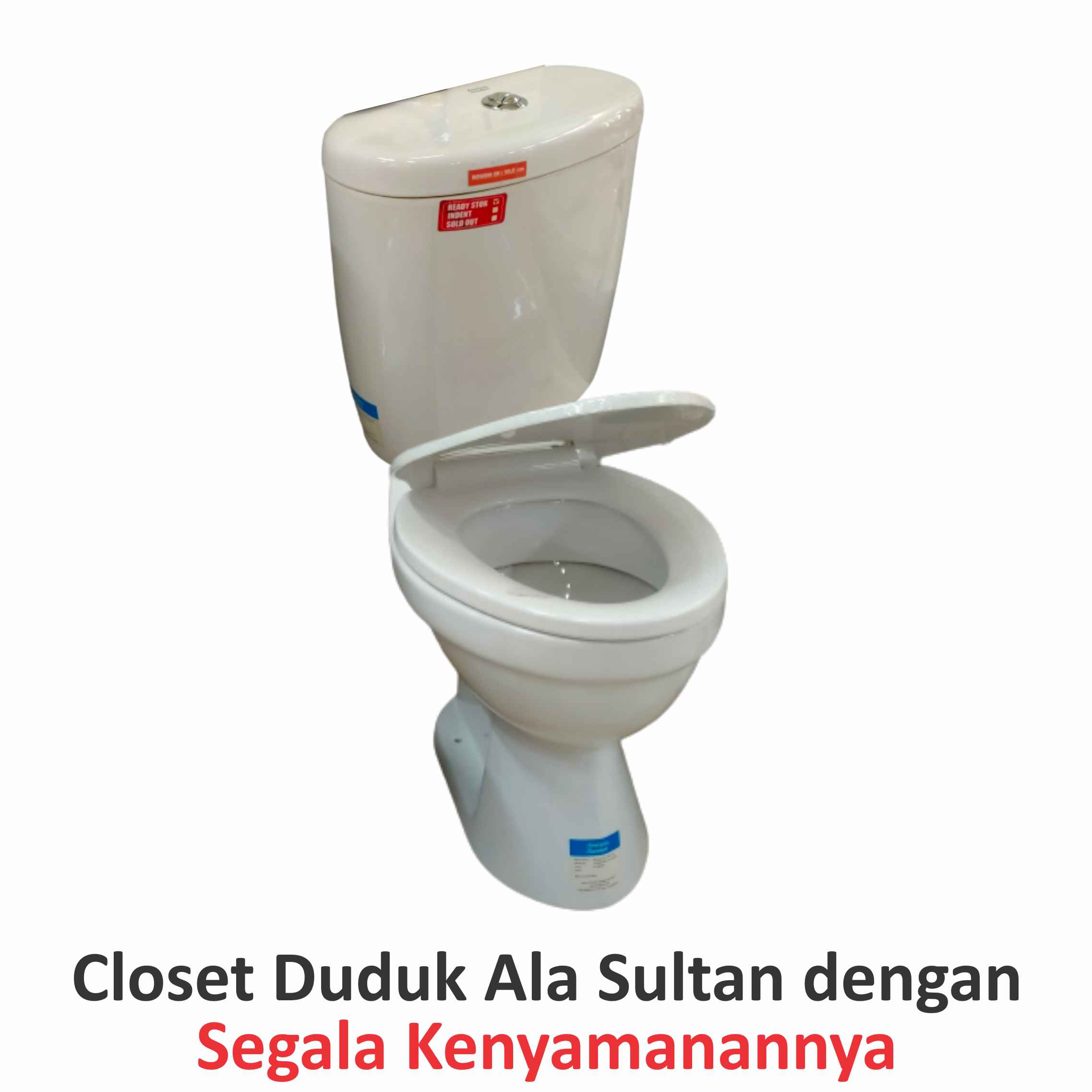 Closet Duduk AMERICAN STANDARD CCW05100-1CACTP13B My Winston CCST DF Plus Jet Washer TP404